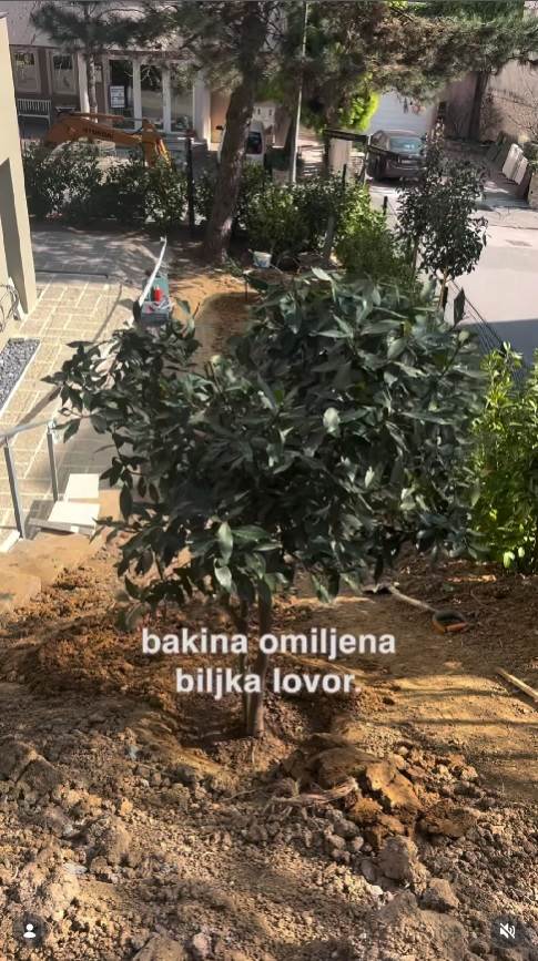 prester5.jpg