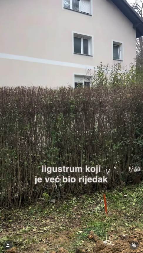 prester7.jpg