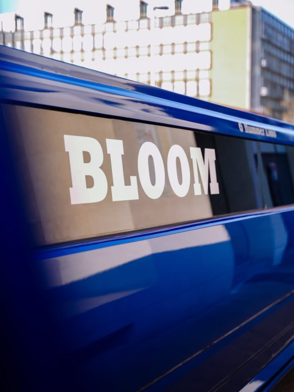 Bloom Tatarinov