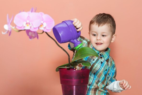 Orhideja dijete - 4 znaka da je posebno osjetljivo i kako ga podržati