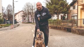 Marko Lasić Nered