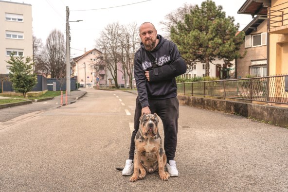 Marko Lasić Nered