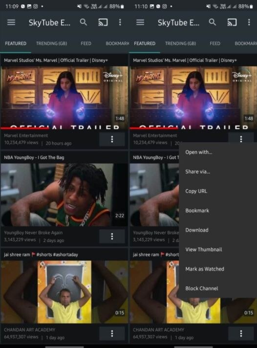 SkyTube 1.jpg