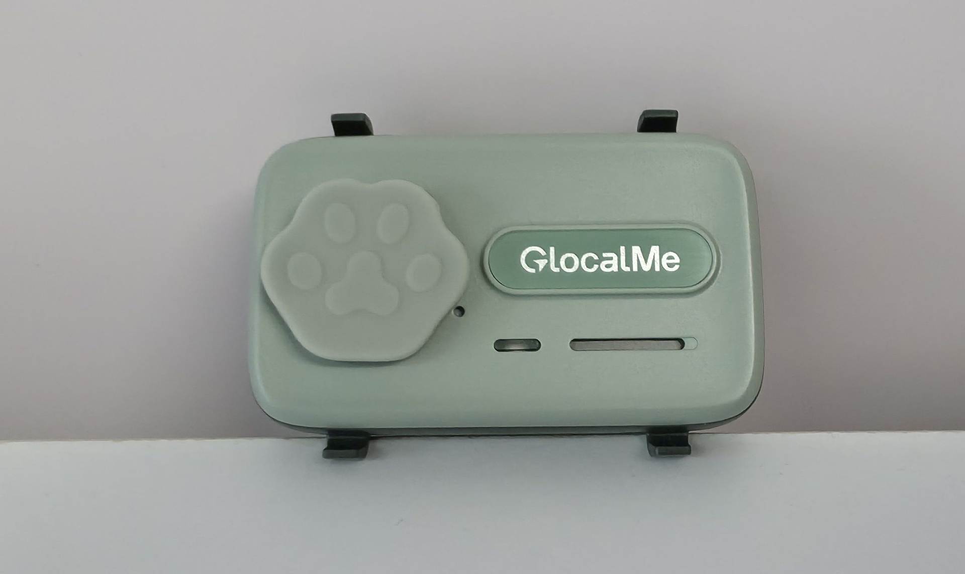 PetPhone (4).jpg