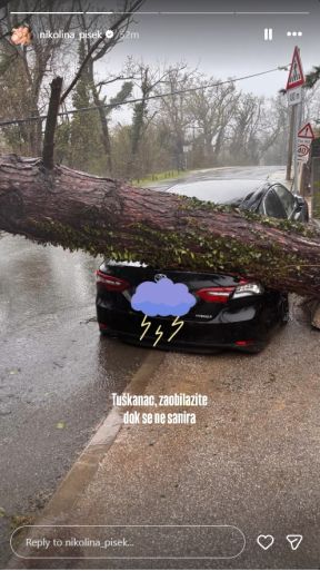 tuskanac1.jpg