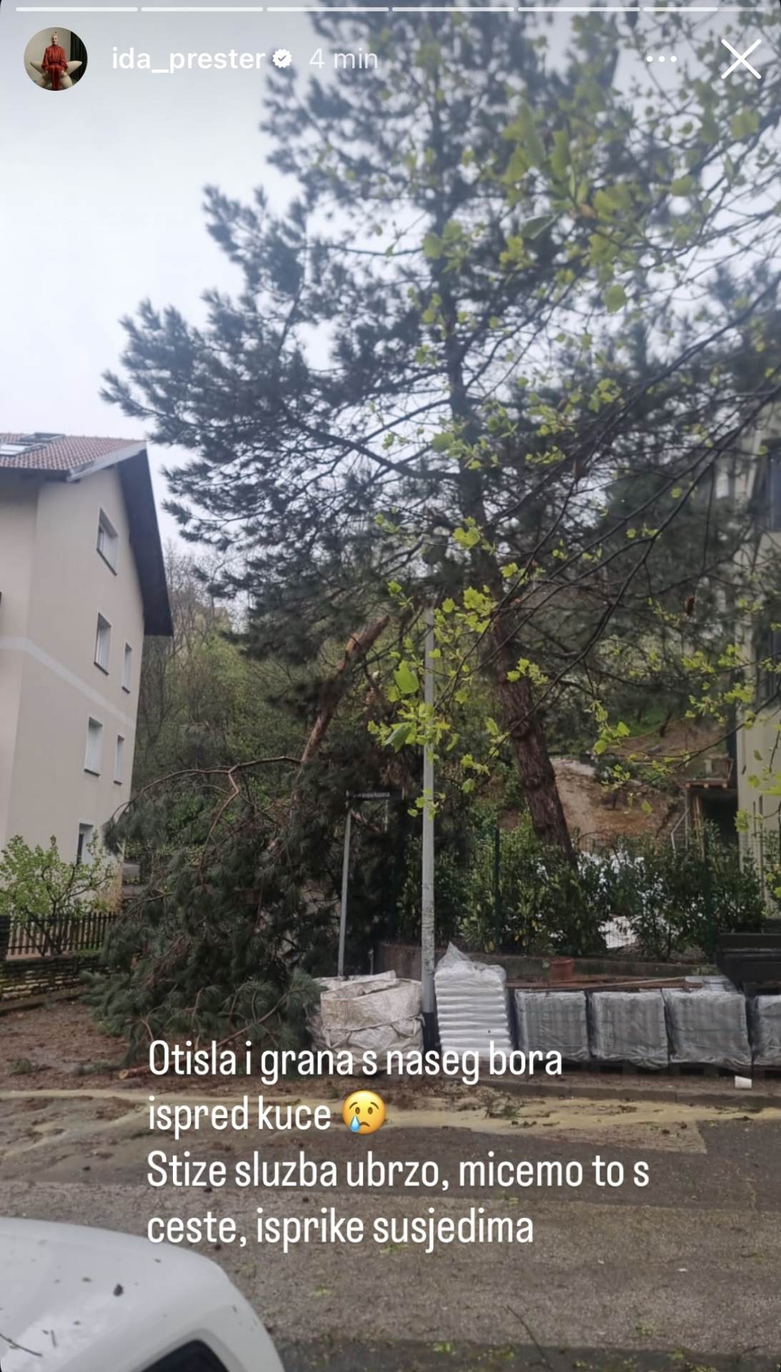 Ida Prester otkrila da je pukla grana s njezina bora ispred kuće