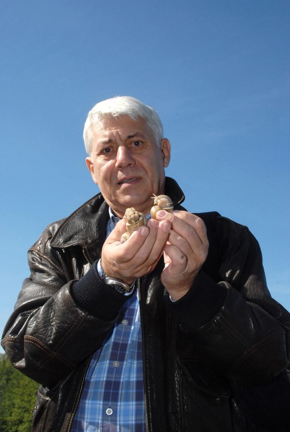 Hrvoje Markulj