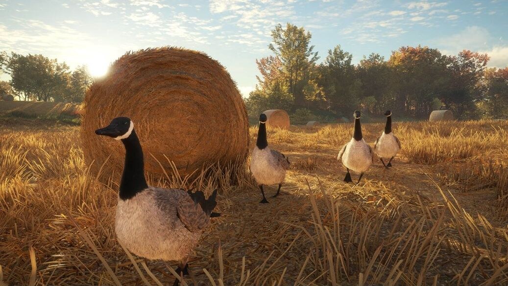theHunter Call of the Wild (6).jpg