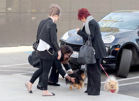 Sharon Osbourne izgleda neprepoznatljivo