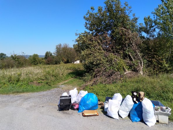 'Zelena čistka 2019' - Jedan dan, jedan planet, jedan cilj