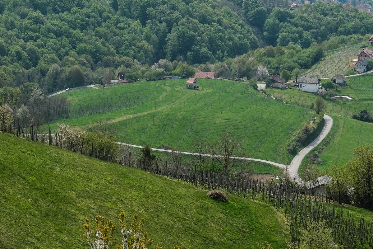 DSCF2435.jpg