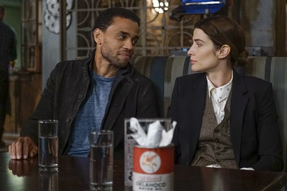 Cobie Smulders u novoj izvrsnoj seriji 'Stumpdown'