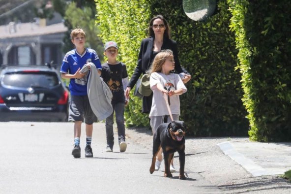 'TRUJE' SE PILULAMA Angelina se razboljela zbog pomirbe Brada i Jennifer?