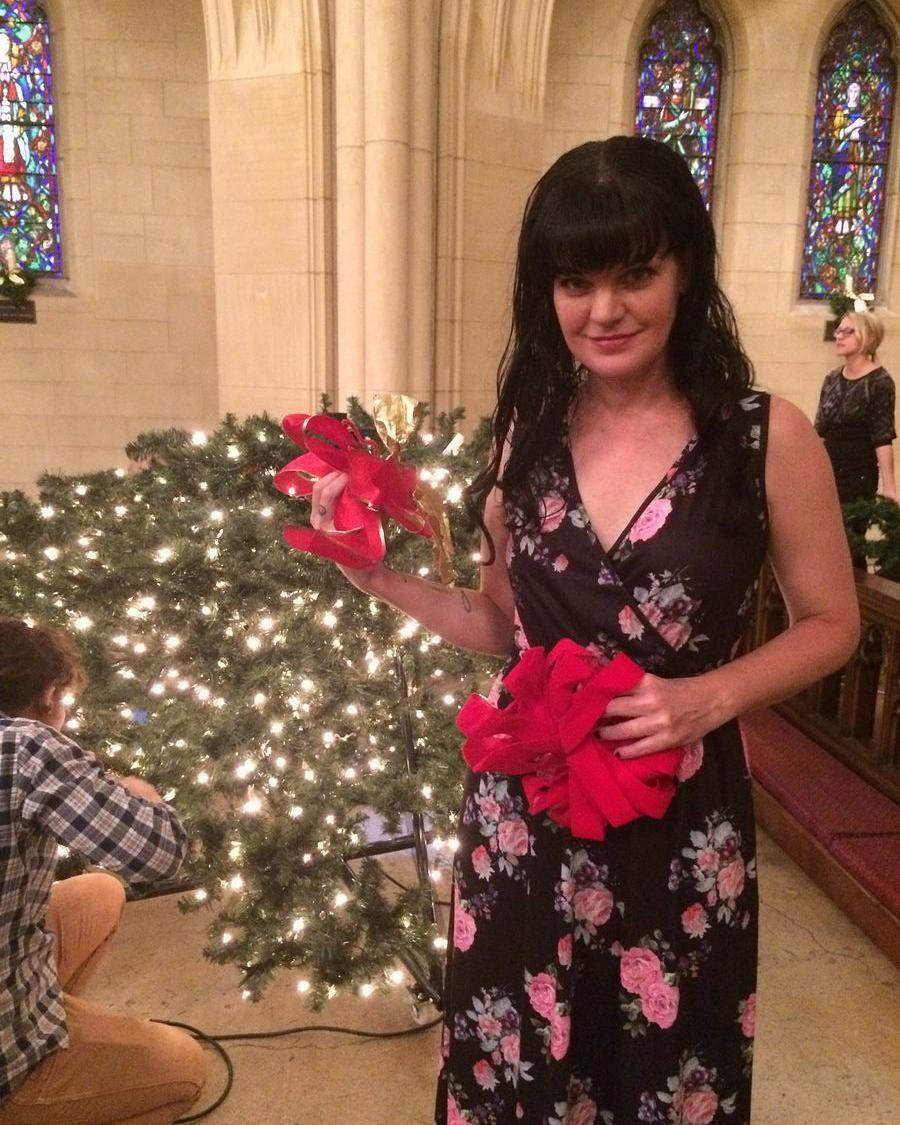 Pauley Perrette