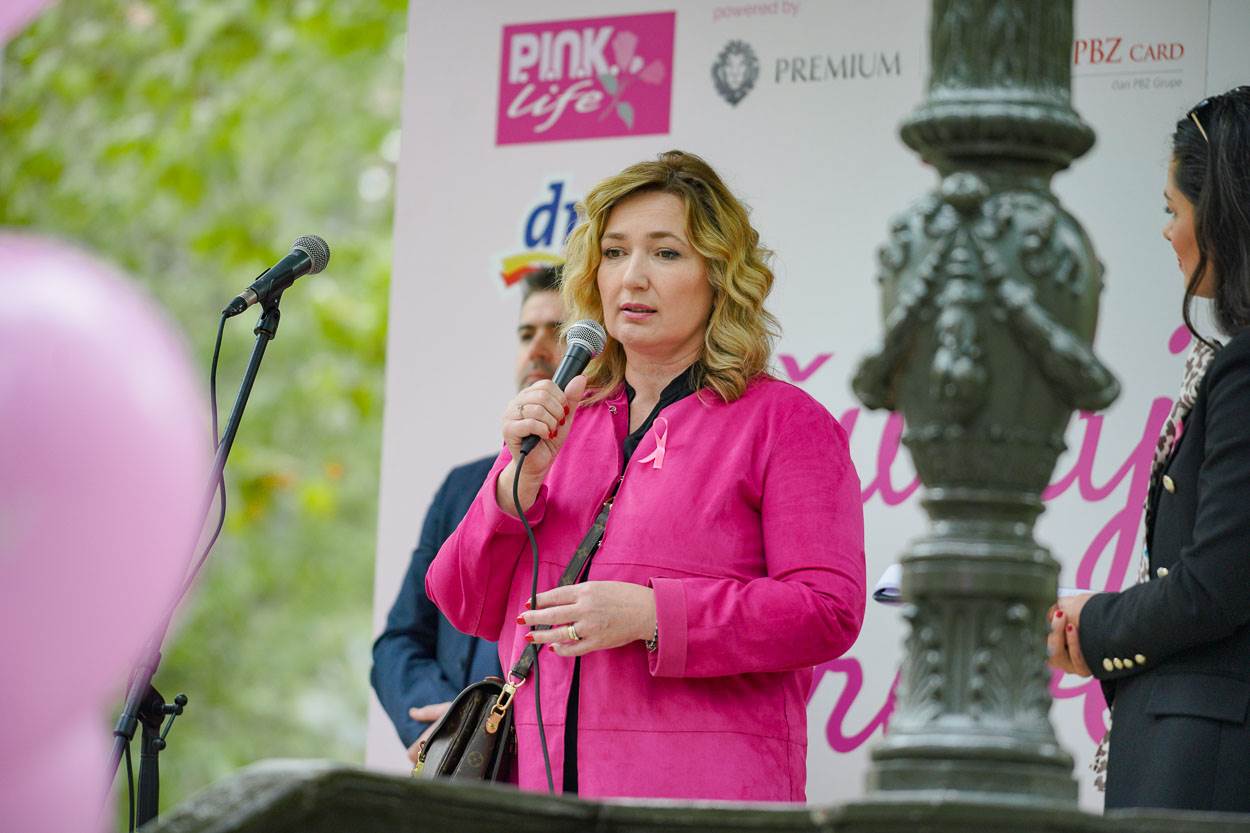 Story Pink Fest