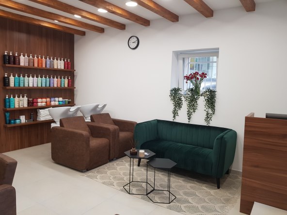 Salon Mladinić