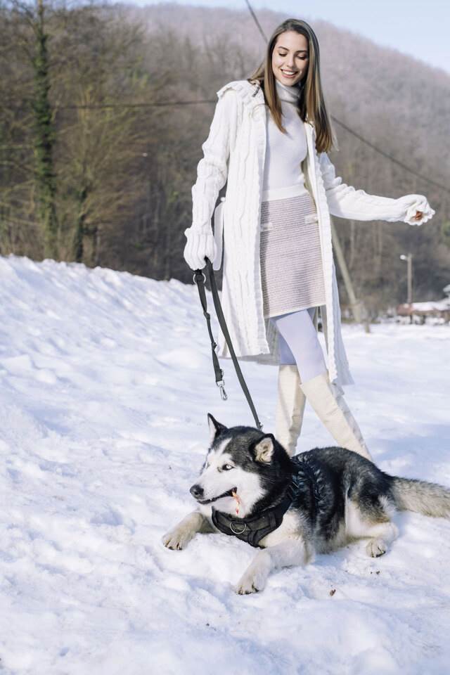 Elfs-Winter-(20).jpg