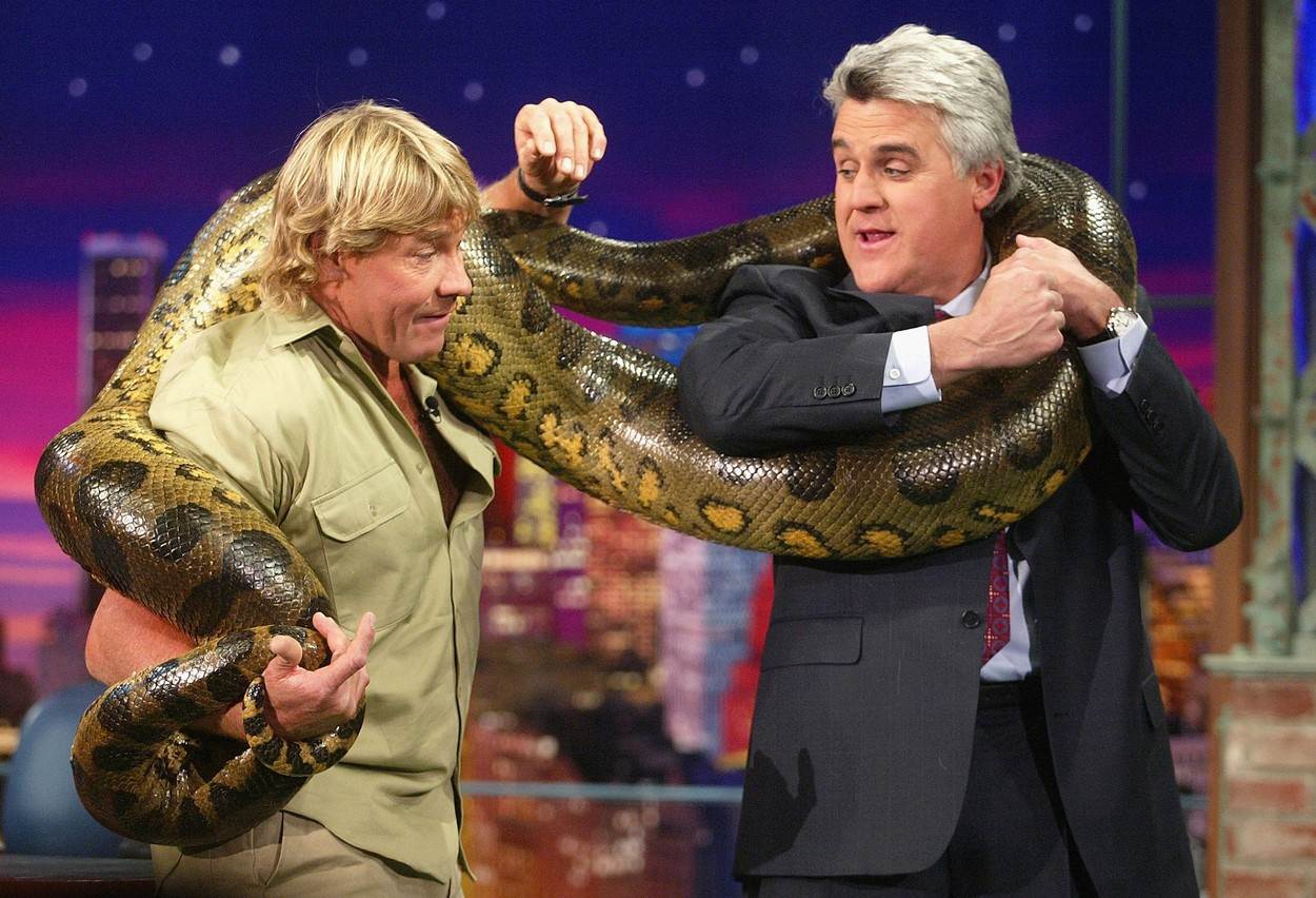 Steve Irwin