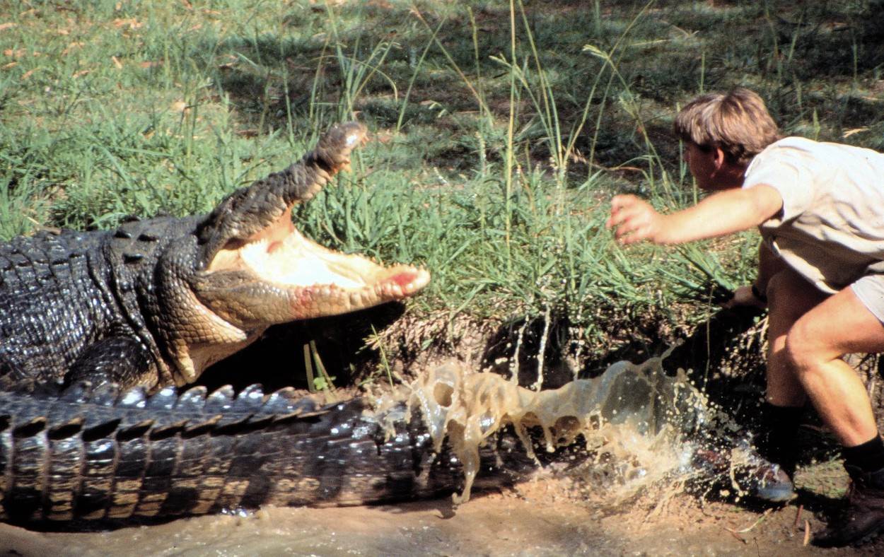 Steve Irwin