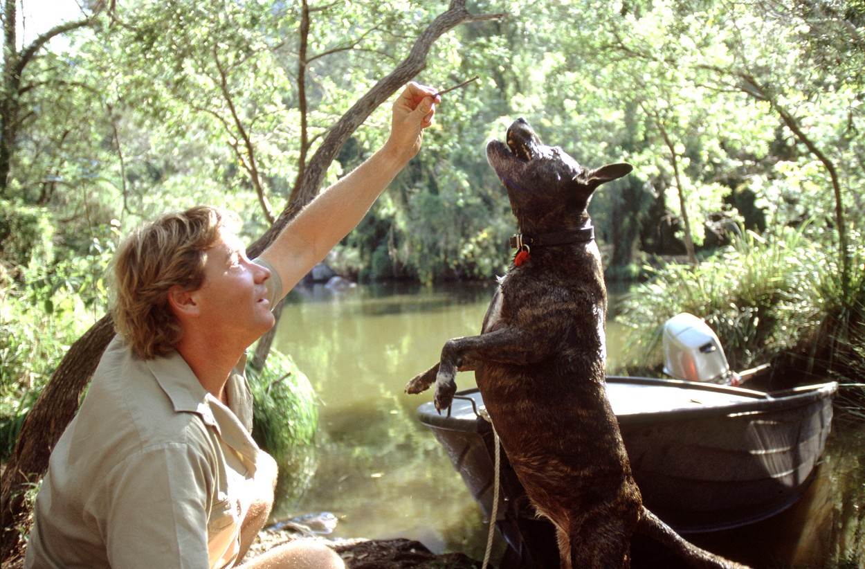 Steve Irwin