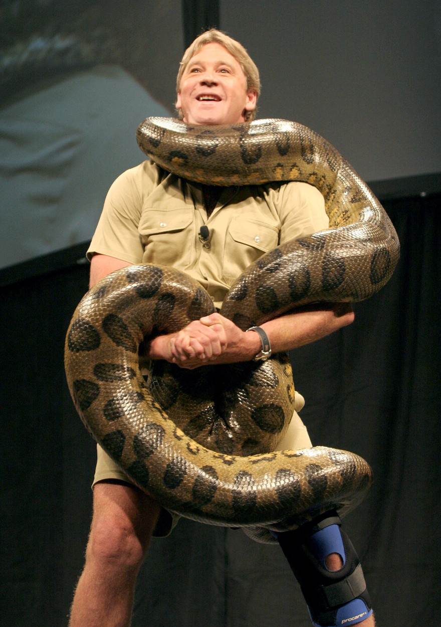 Steve Irwin
