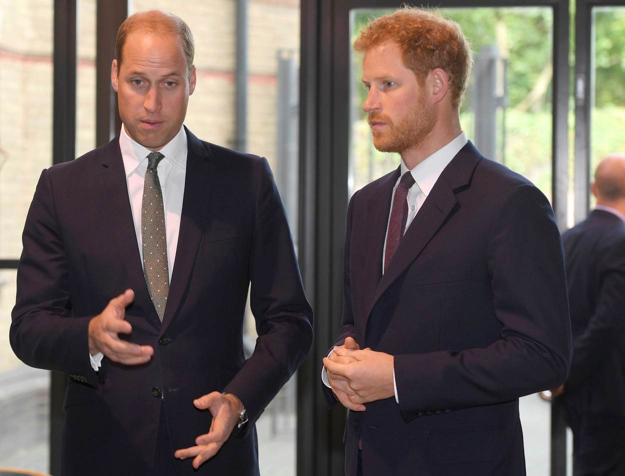 Princ William i princ Harry