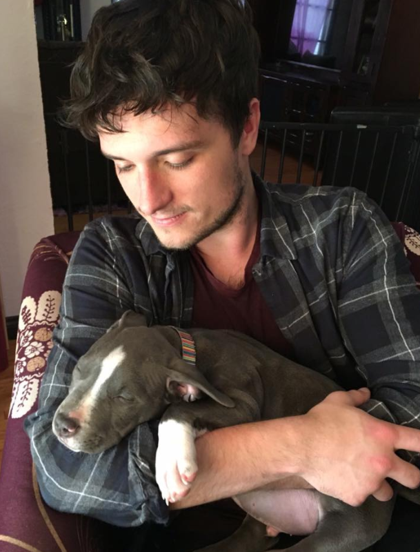 Josh Hutcherson
