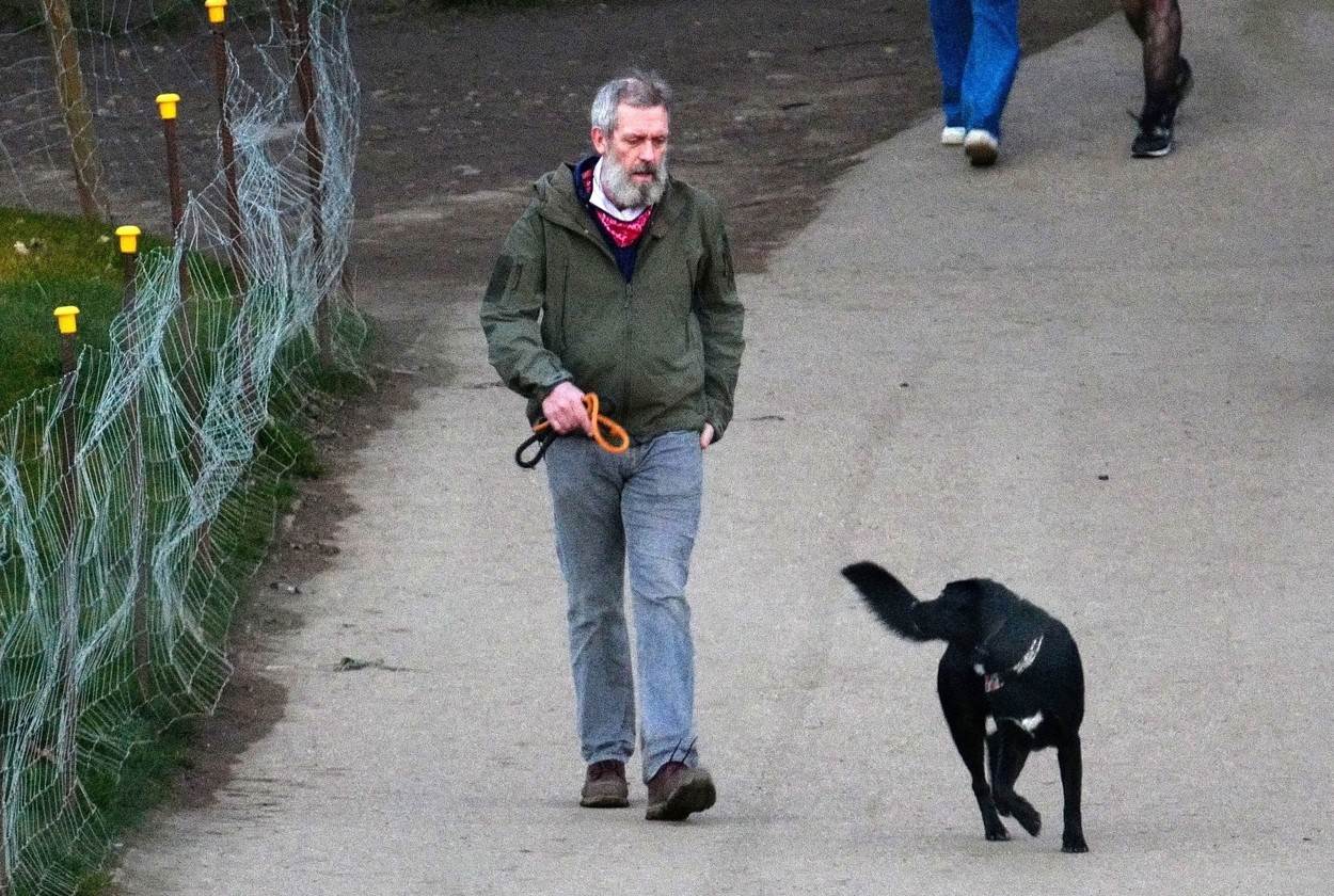 Hugh Laurie šeće psa.