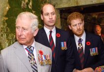 Kralj Charles III., princ William i princ Harry