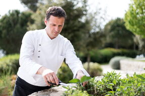 Chef Pejčinović, restoran Meneghetti