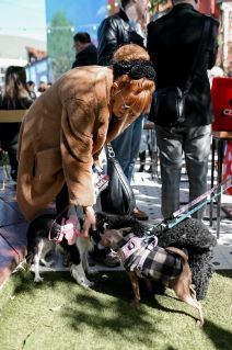 Pet Kult X Story - web_RG (126).jpg