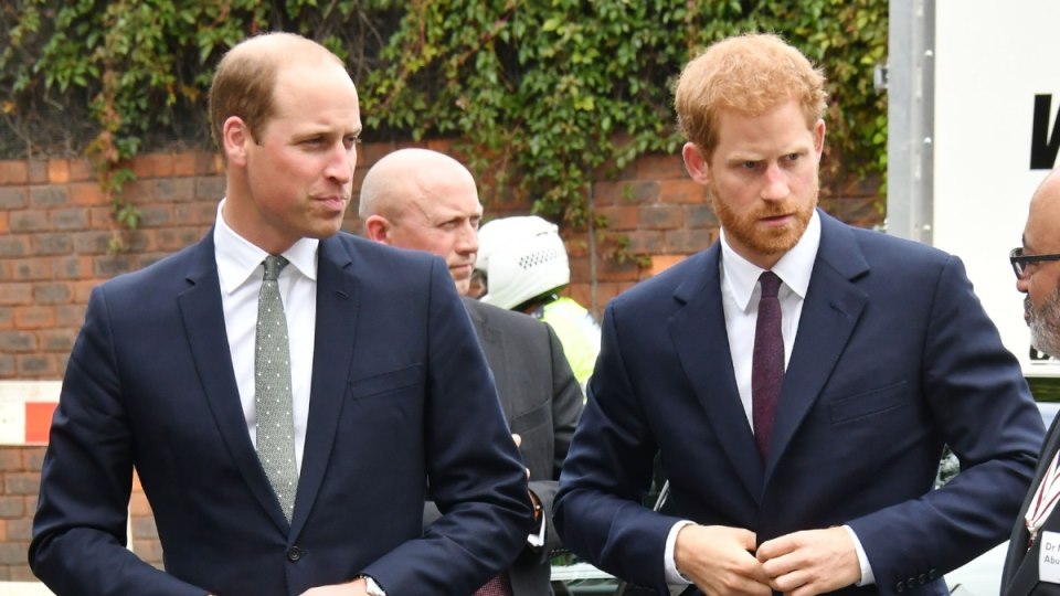 Princ William i princ Harry