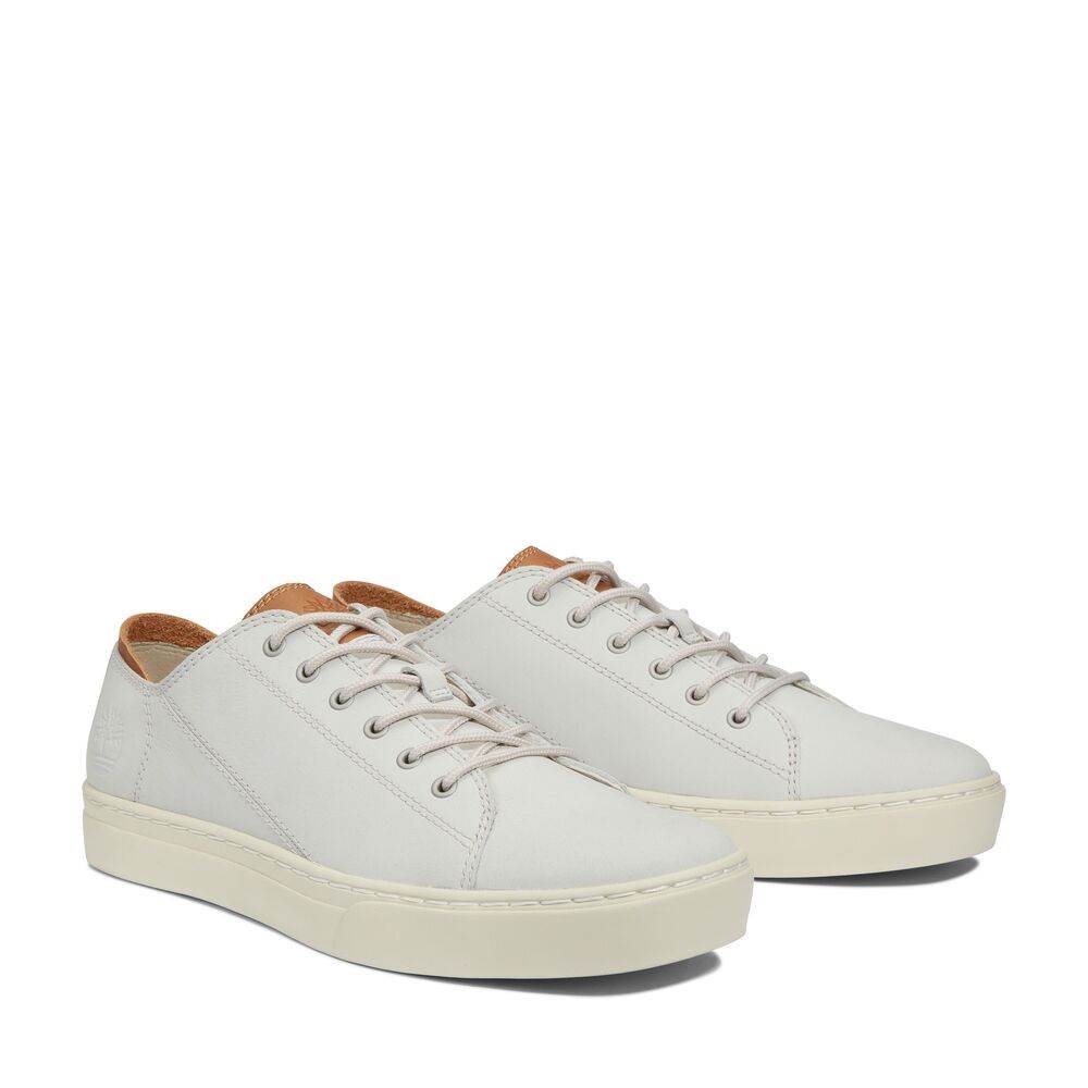 Timberland tenisice, Designer Outlet Croatia - 77,95 eura (587,31 kn).jpg