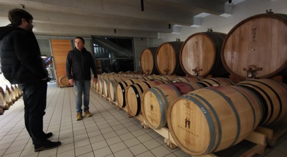 Vina Kozlović - čarolije u bačvi, čudesa u čaši