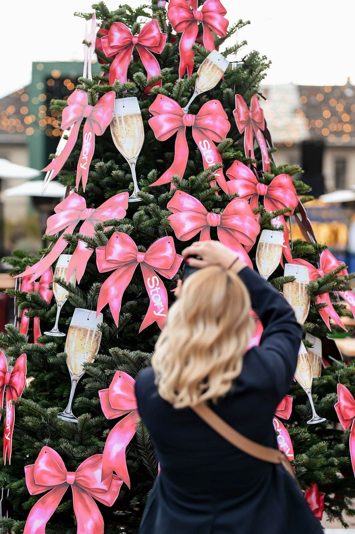 Story Advent web_RG (64).JPG
