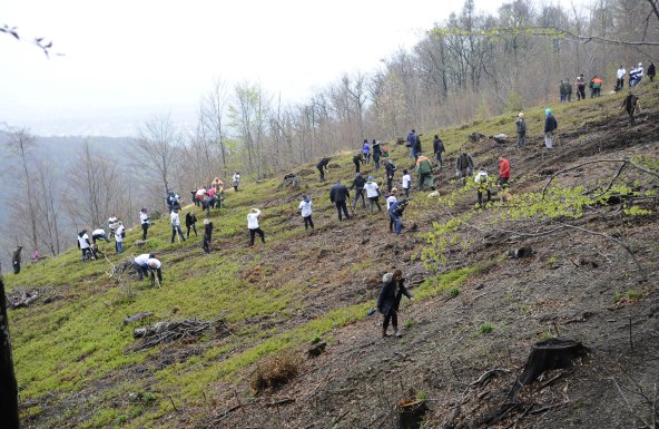NE ŠTEDI NA ŠUMI Slijedi primjer 'velikih' i posadi koju sadnicu u prirodi