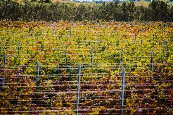 Još uvijek ne znate gdje za produženi vikend pred nama? Imamo ideju