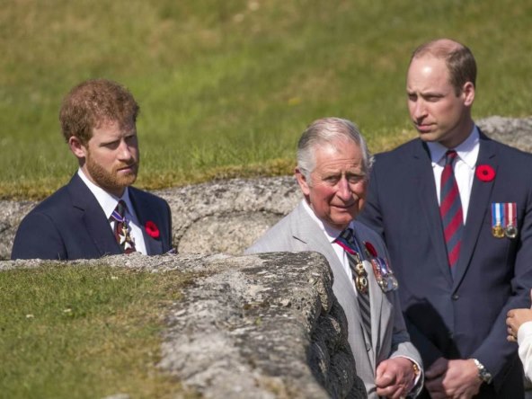 Prinčevi Harry, Charles i William
