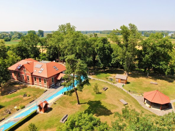 Otkrijte koji je to kukac stariji od dinosaura, a skriva važnu tajnu