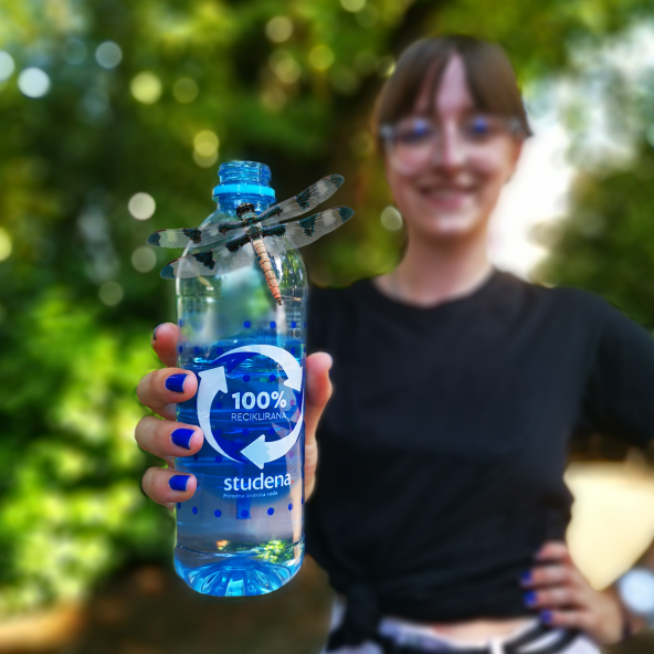 Otkrijte koji je to kukac stariji od dinosaura, a skriva važnu tajnu