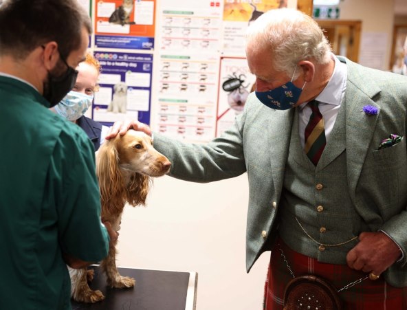 Osvojeno srce princa Charlesa