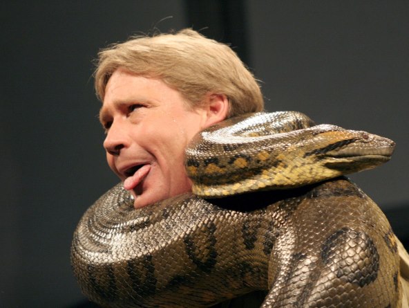 Steve Irwin