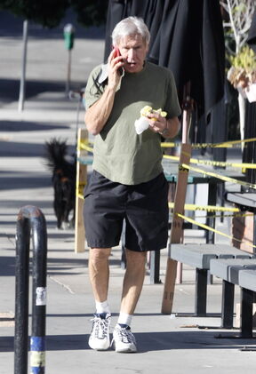 Harrison Ford trenutno je u braku s Calistom Flockhar
