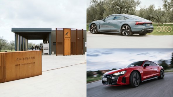 teigan-collage - 2021-10-19T163346.520