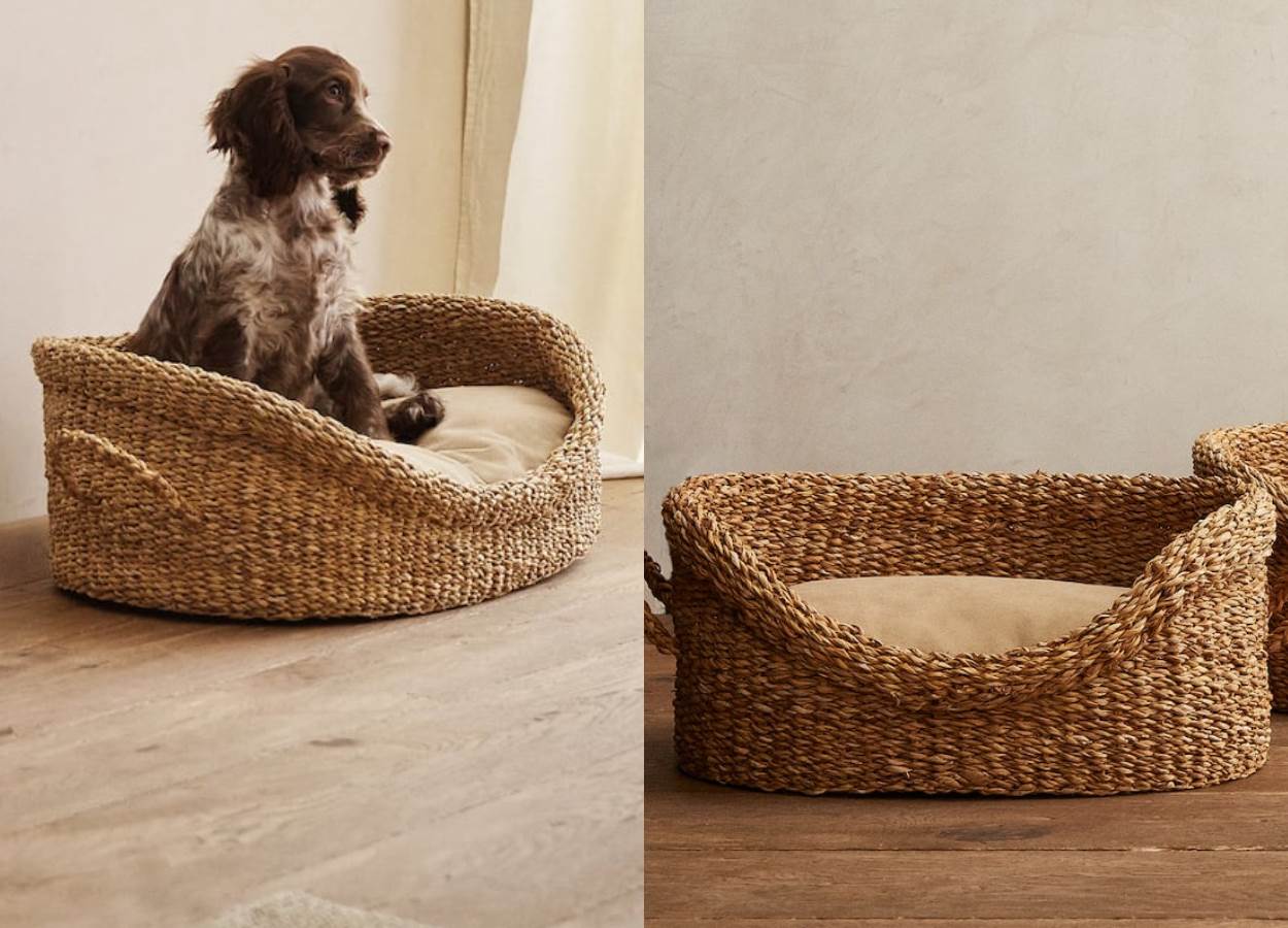 Pet Basket