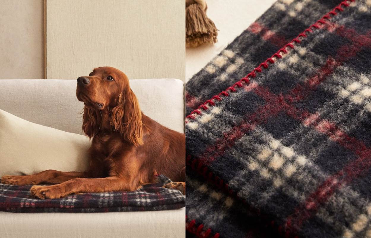 Checked Pet Blanket