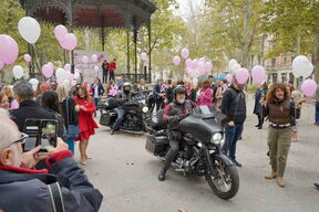 Story Pink Fest.jpg