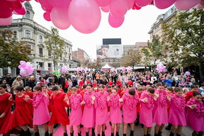 Story Pink Fest.jpg
