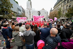 Story Pink Fest.jpg