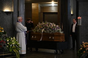 DSC_3396.JPG